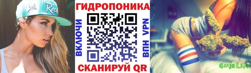 Бошки марихуана VHQ  Щёлково 